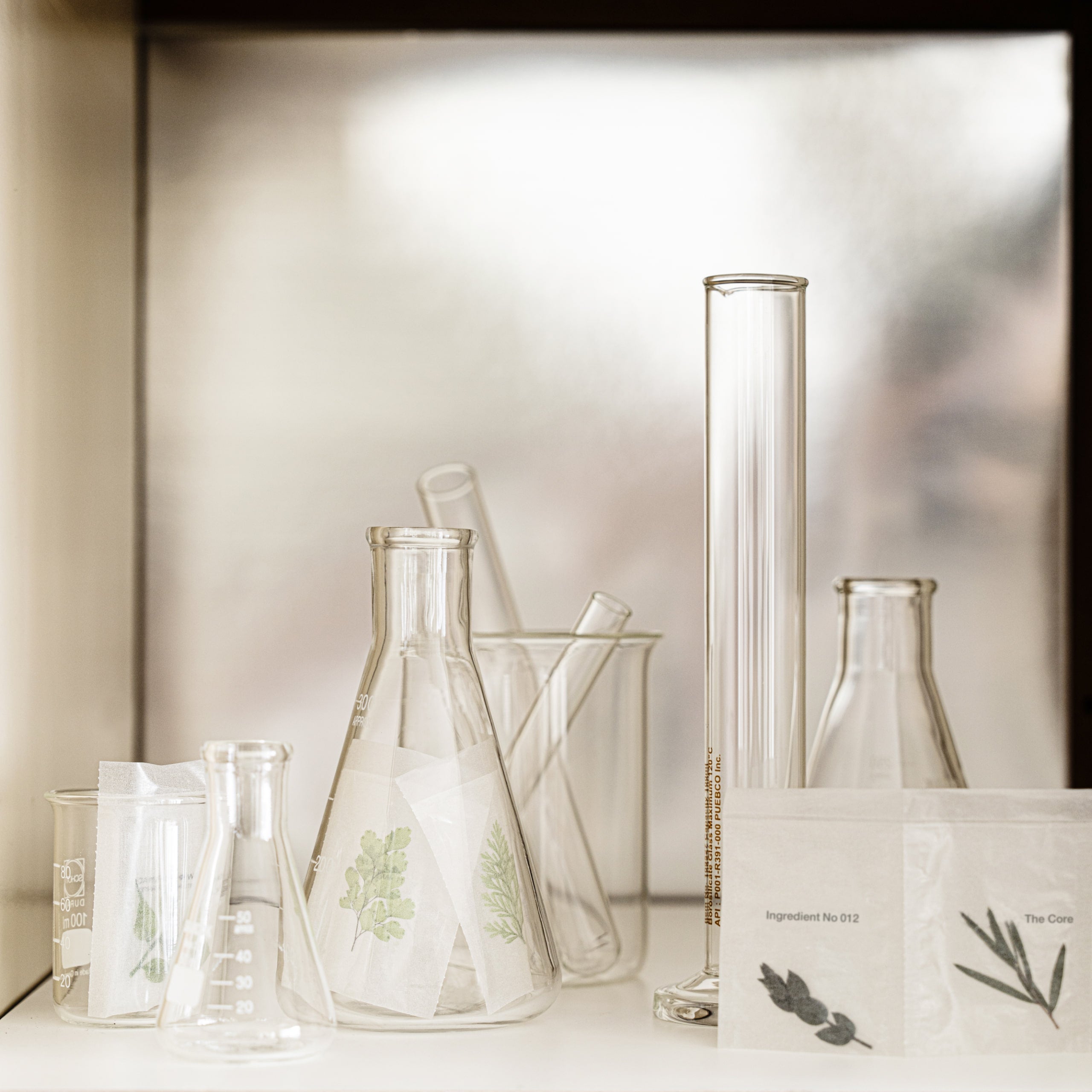 thome-about-us-image-3