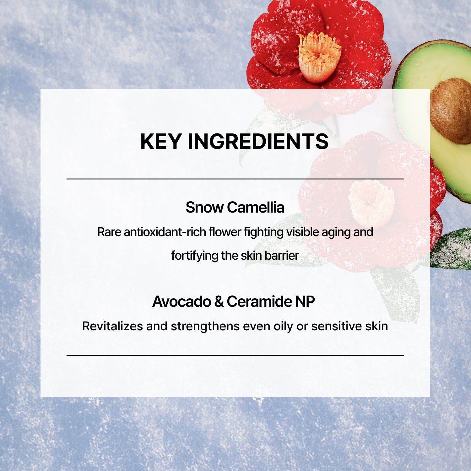 THOME Snow Camellia Antioxidant Cream | Antioxidant-Rich Daily Moisturizer for Sensitive & Post-Treatment Skin Barrier Support (50g, 1.76fl.oz)